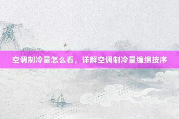 空调制冷量怎么看，详解空调制冷量缠绵按序